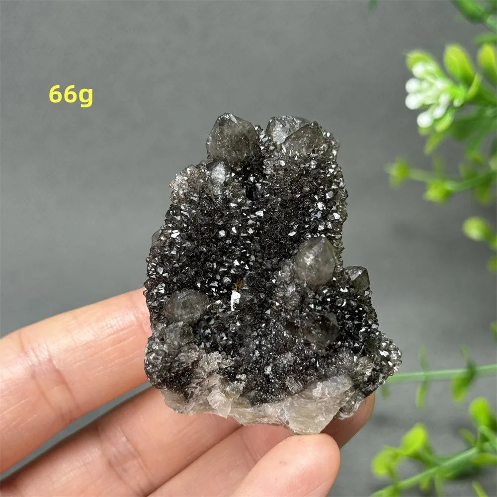 Natural Rare Black Cactus Quartz Cluster