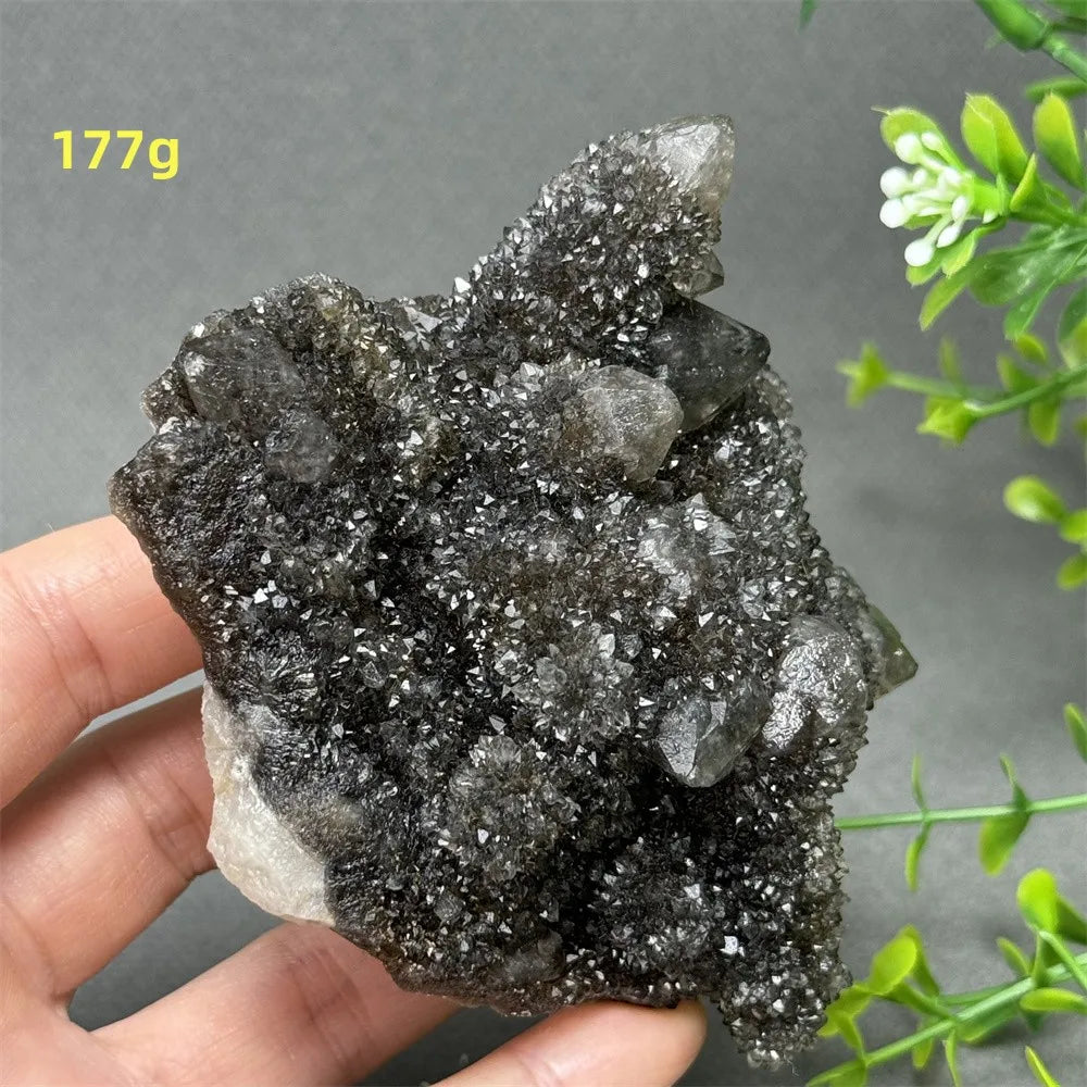 Natural Rare Black Cactus Quartz Cluster
