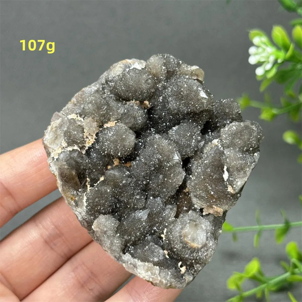 Natural Rare Black Cactus Quartz Cluster