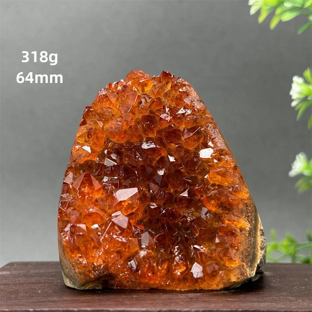HQ Brazilian Citrine Freeform Geode