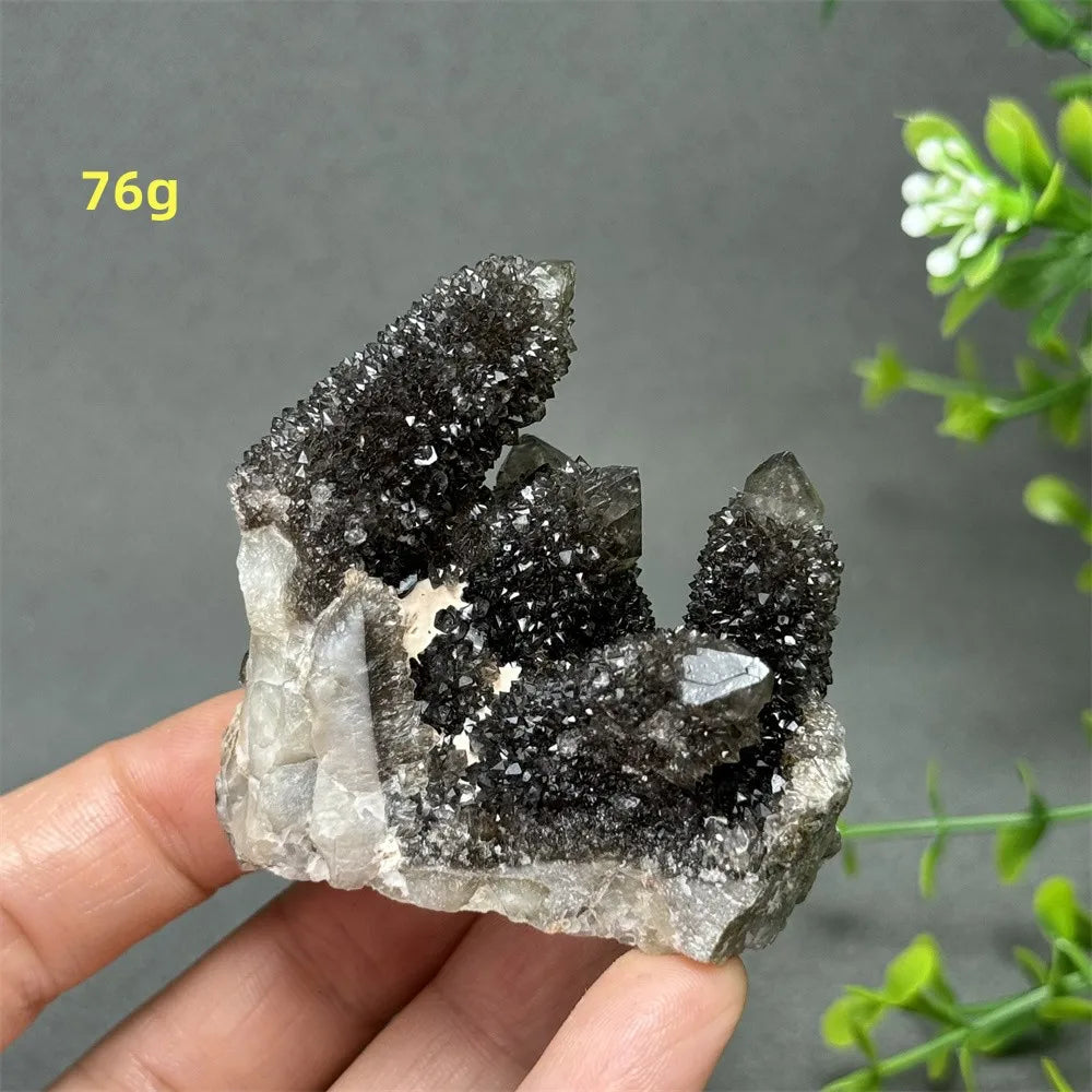 Natural Rare Black Cactus Quartz Cluster