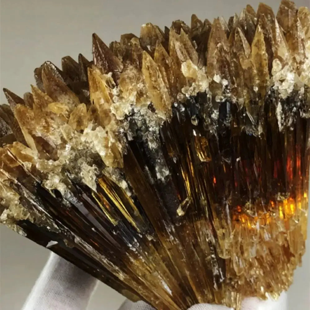 Amber Calcite Specimens