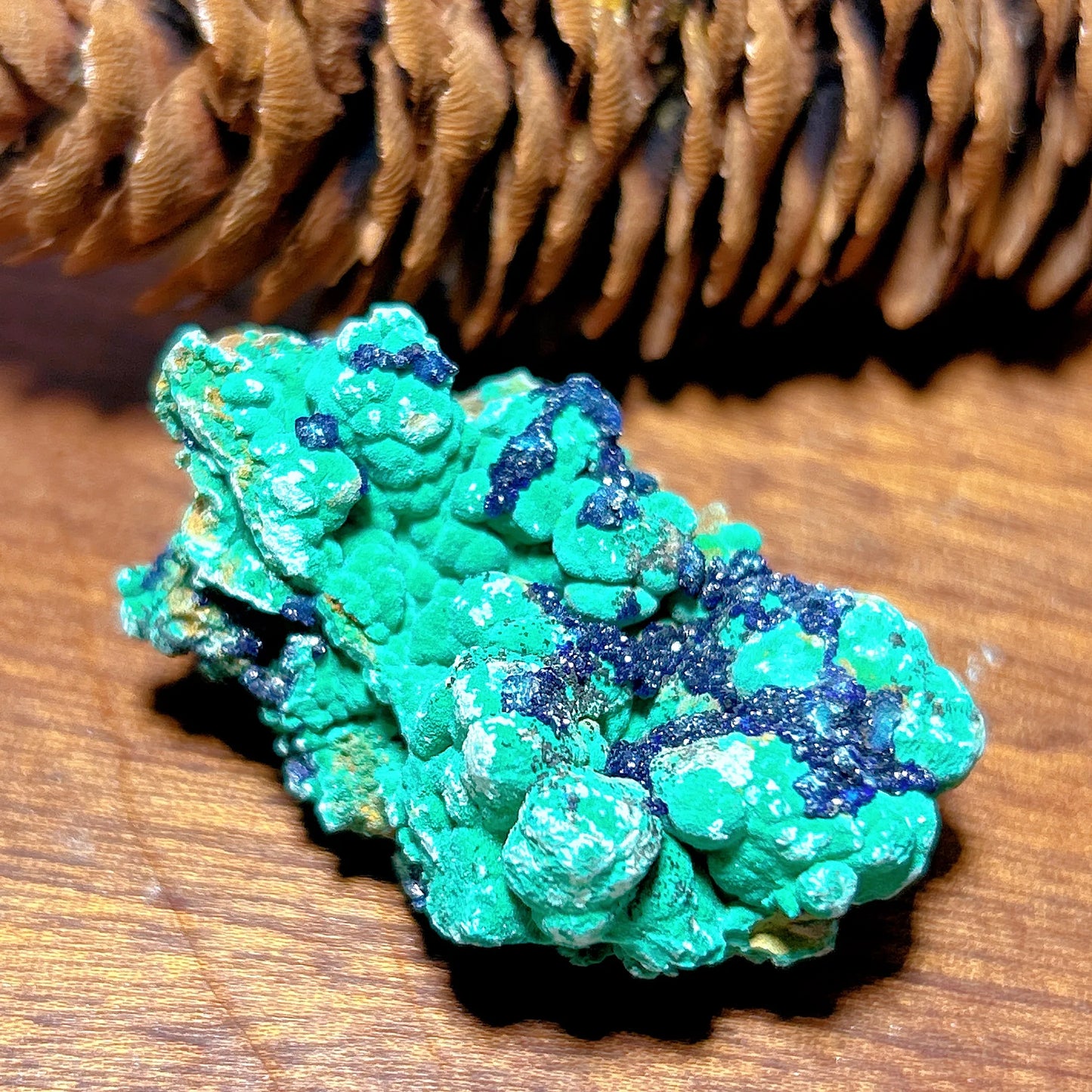 HQ Natural Chrysocolla With Azurite Specimen Medium