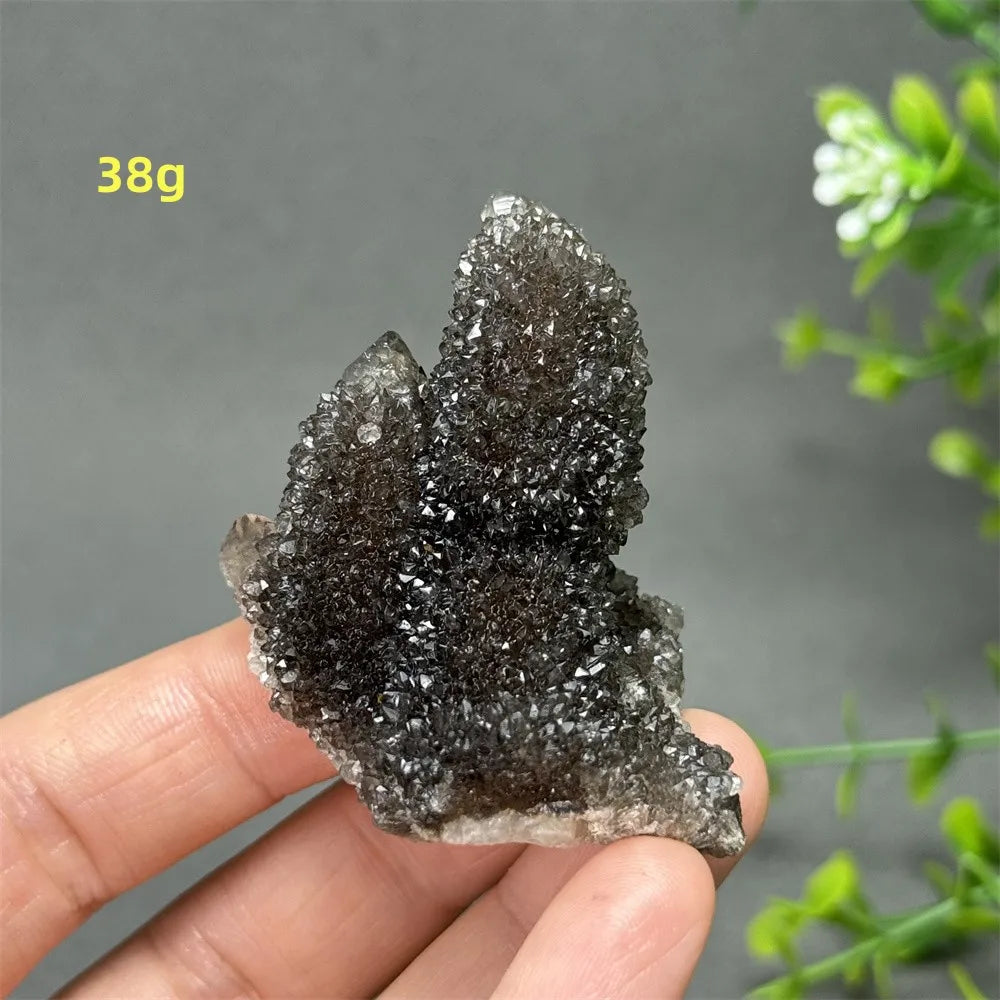 Natural Rare Black Cactus Quartz Cluster
