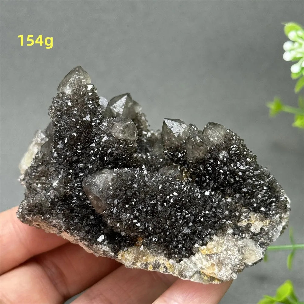 Natural Rare Black Cactus Quartz Cluster