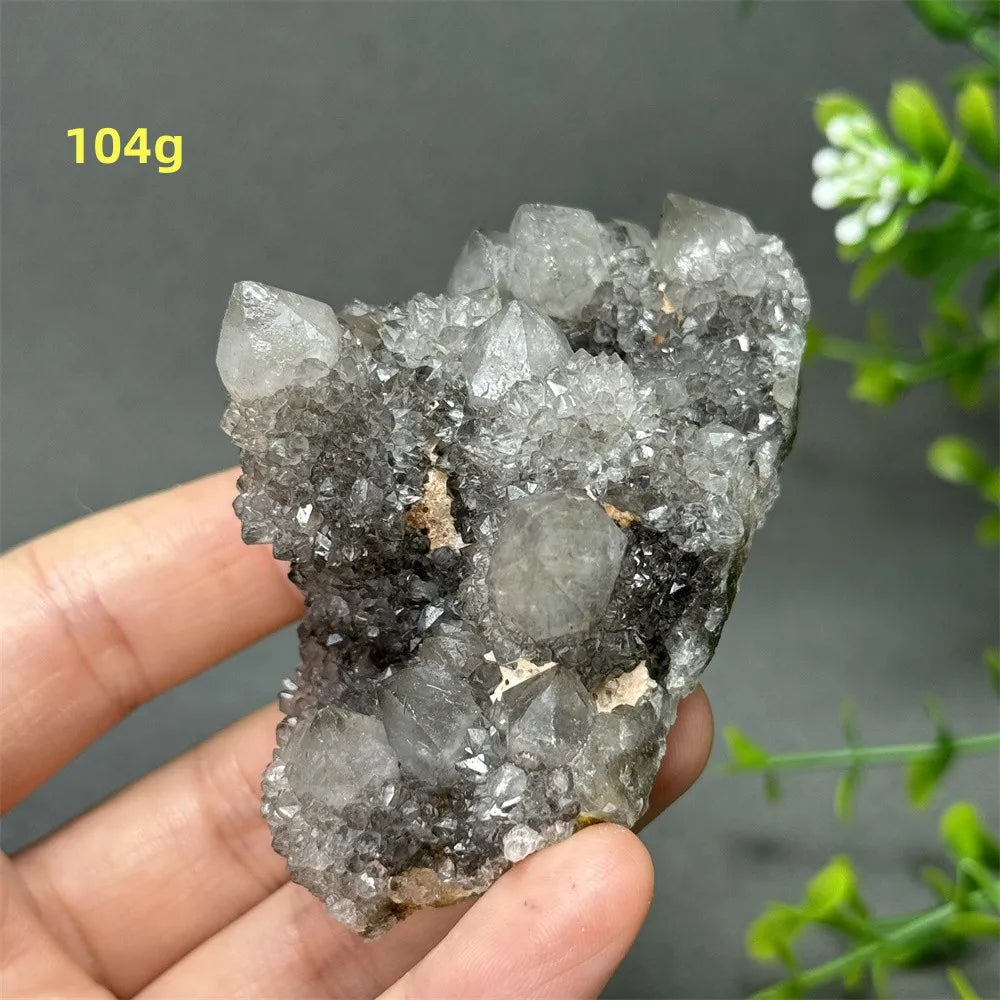 Natural Rare Black Cactus Quartz Cluster