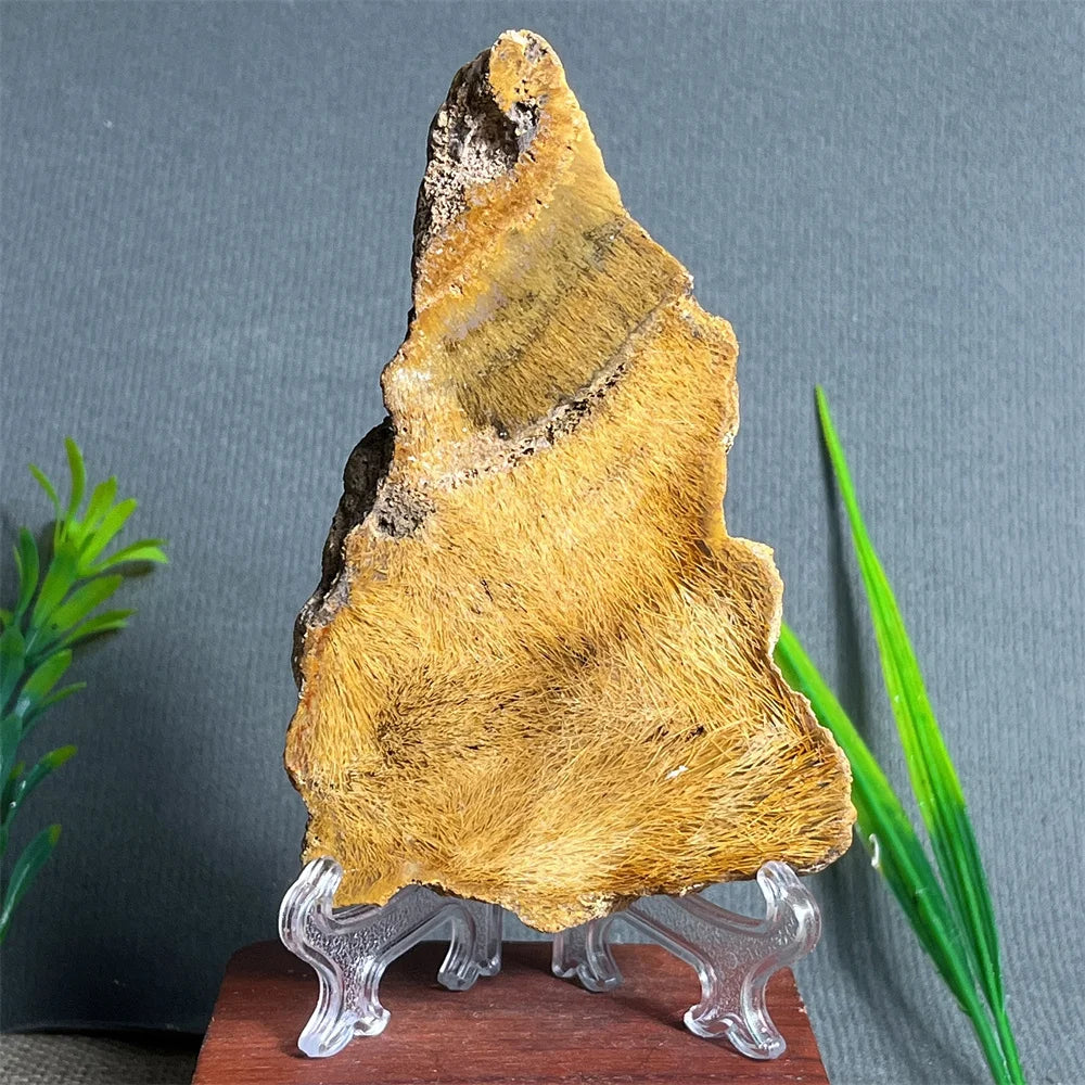 Natural Rutilated Hair Agate Slab (With Stand)