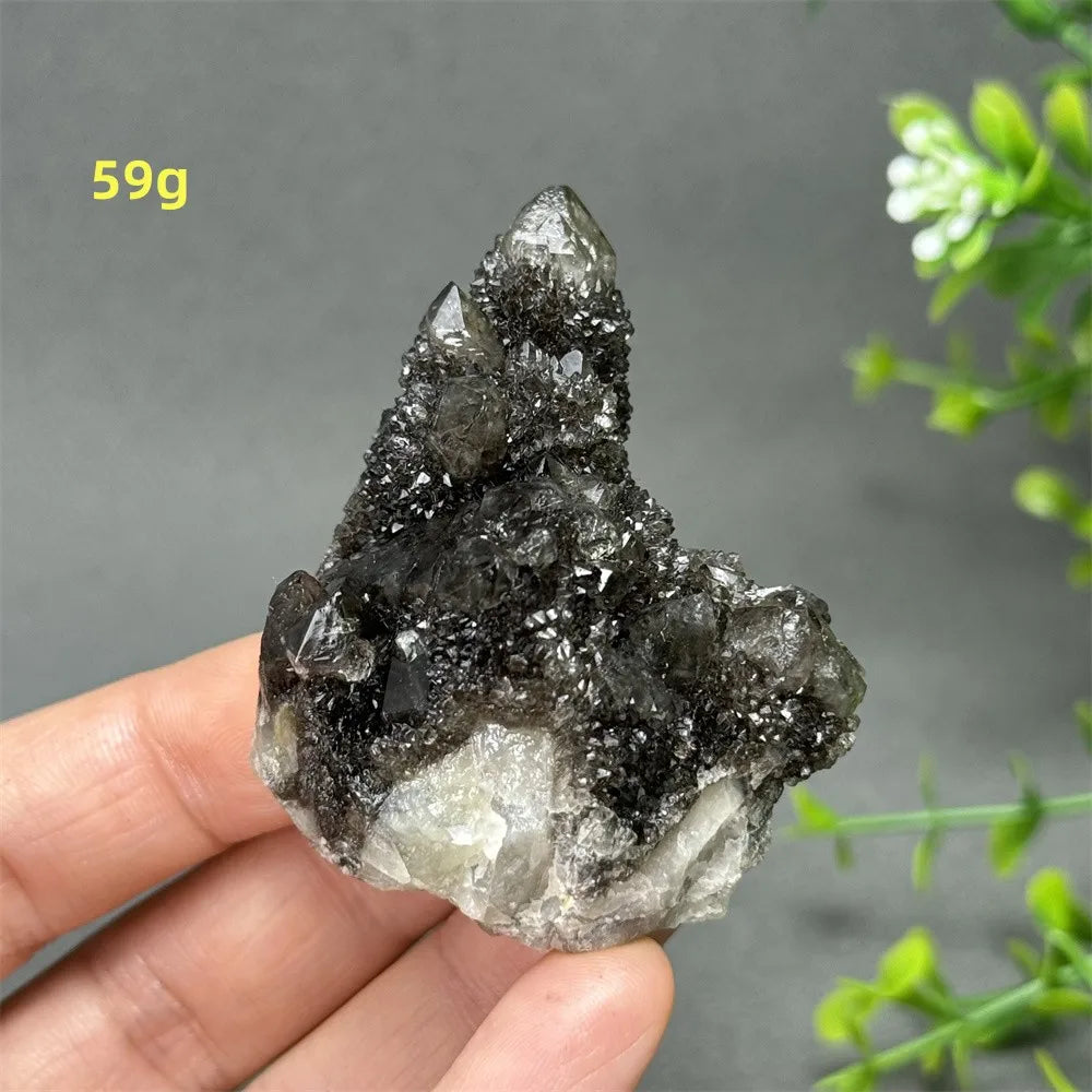 Natural Rare Black Cactus Quartz Cluster