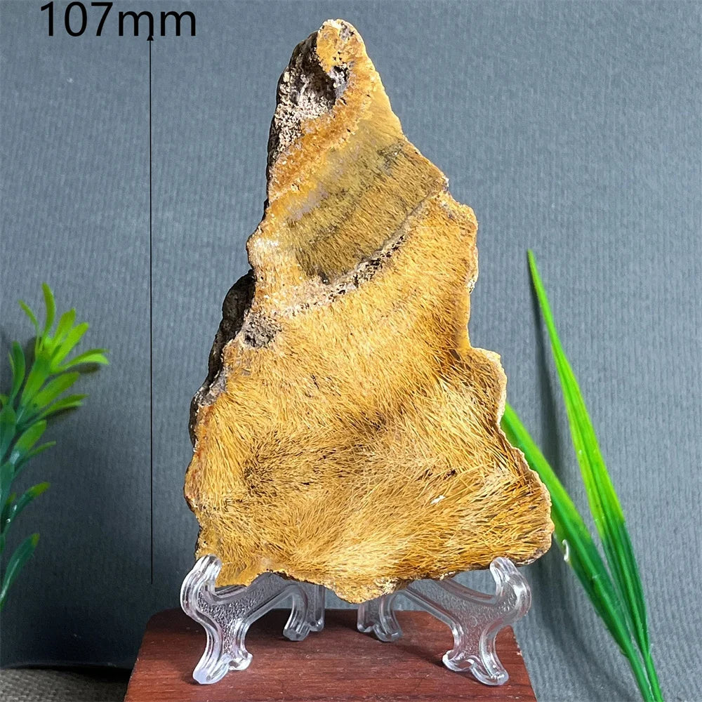 Natural Rutilated Hair Agate Slab (With Stand)