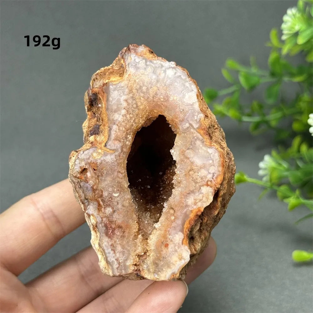 Natural Red Cherry Blossom Agate Geode Slab