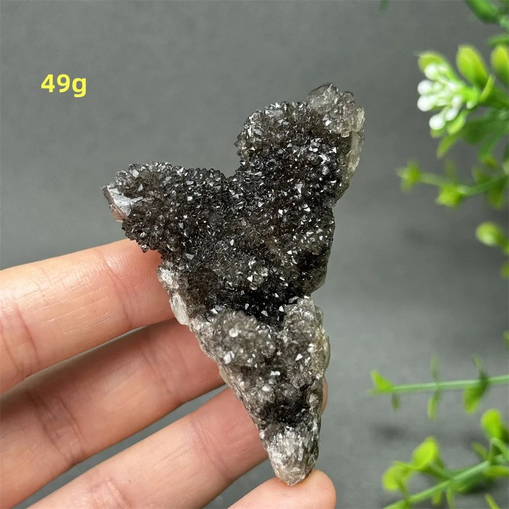 Natural Rare Black Cactus Quartz Cluster