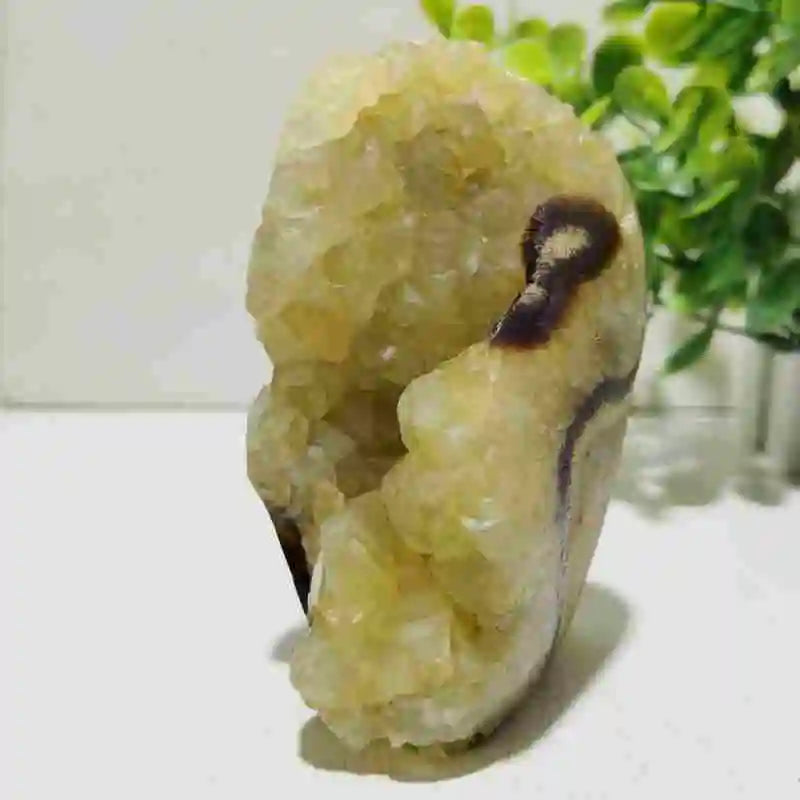Natural Septarian Geode Freeform Cluster