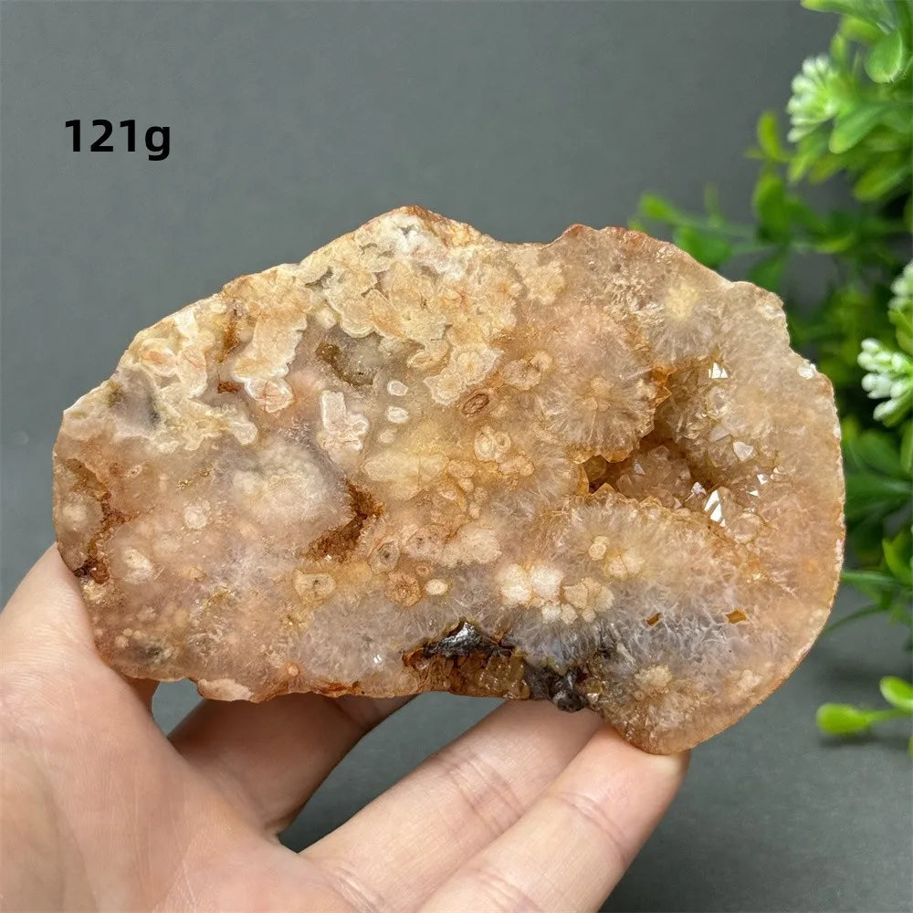 Natural Red Cherry Blossom Agate Geode Slab