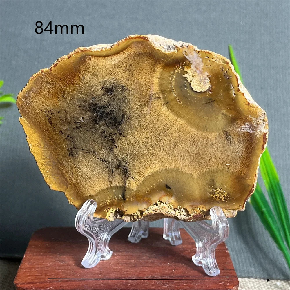Natural Rutilated Hair Agate Slab (With Stand)