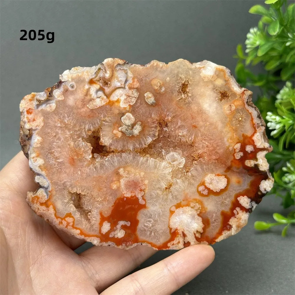 Natural Red Cherry Blossom Agate Geode Slab