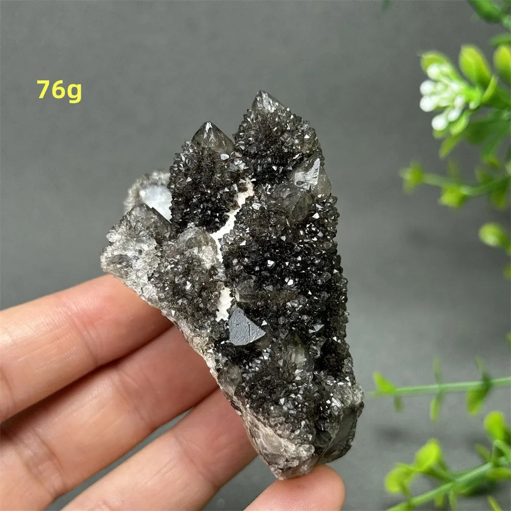 Natural Rare Black Cactus Quartz Cluster
