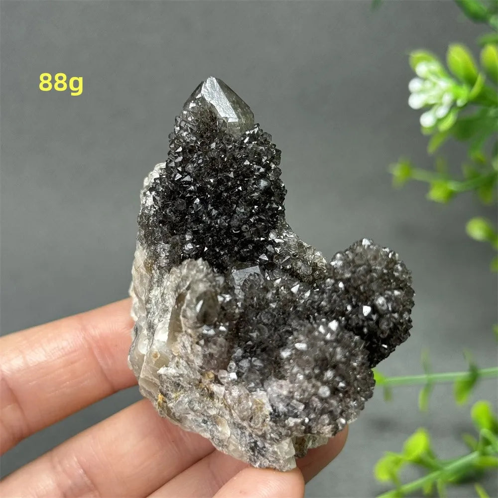 Natural Rare Black Cactus Quartz Cluster
