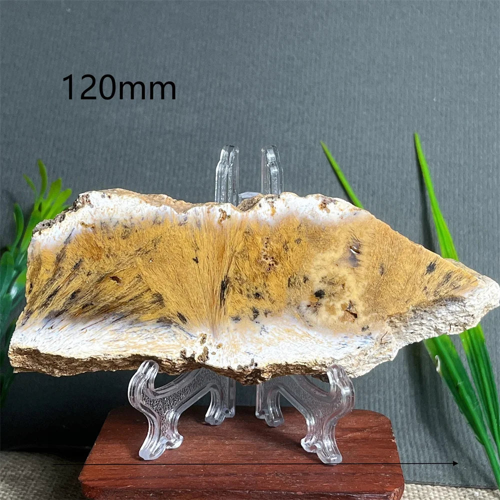 Natural Rutilated Hair Agate Slab (With Stand)