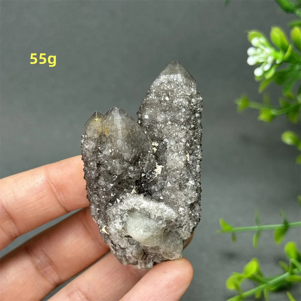 Natural Rare Black Cactus Quartz Cluster