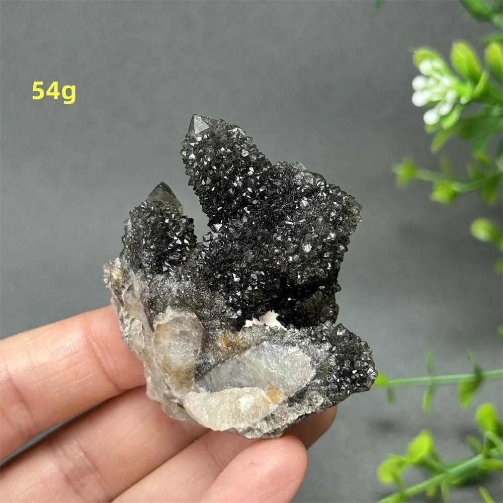 Natural Rare Black Cactus Quartz Cluster