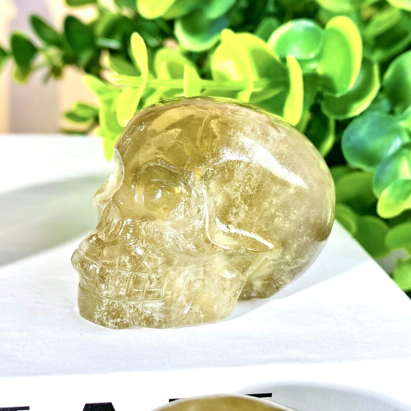 HQ Citrine Skull Carving