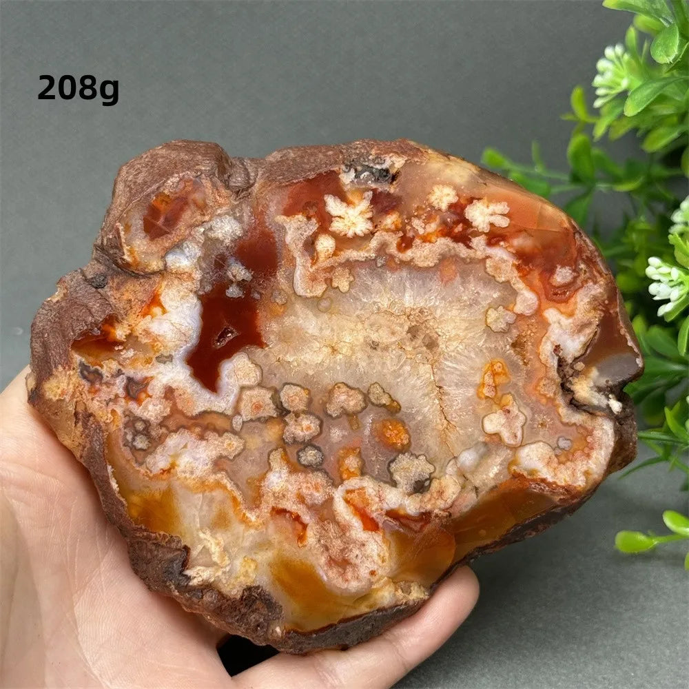 Natural Red Cherry Blossom Agate Geode Slab
