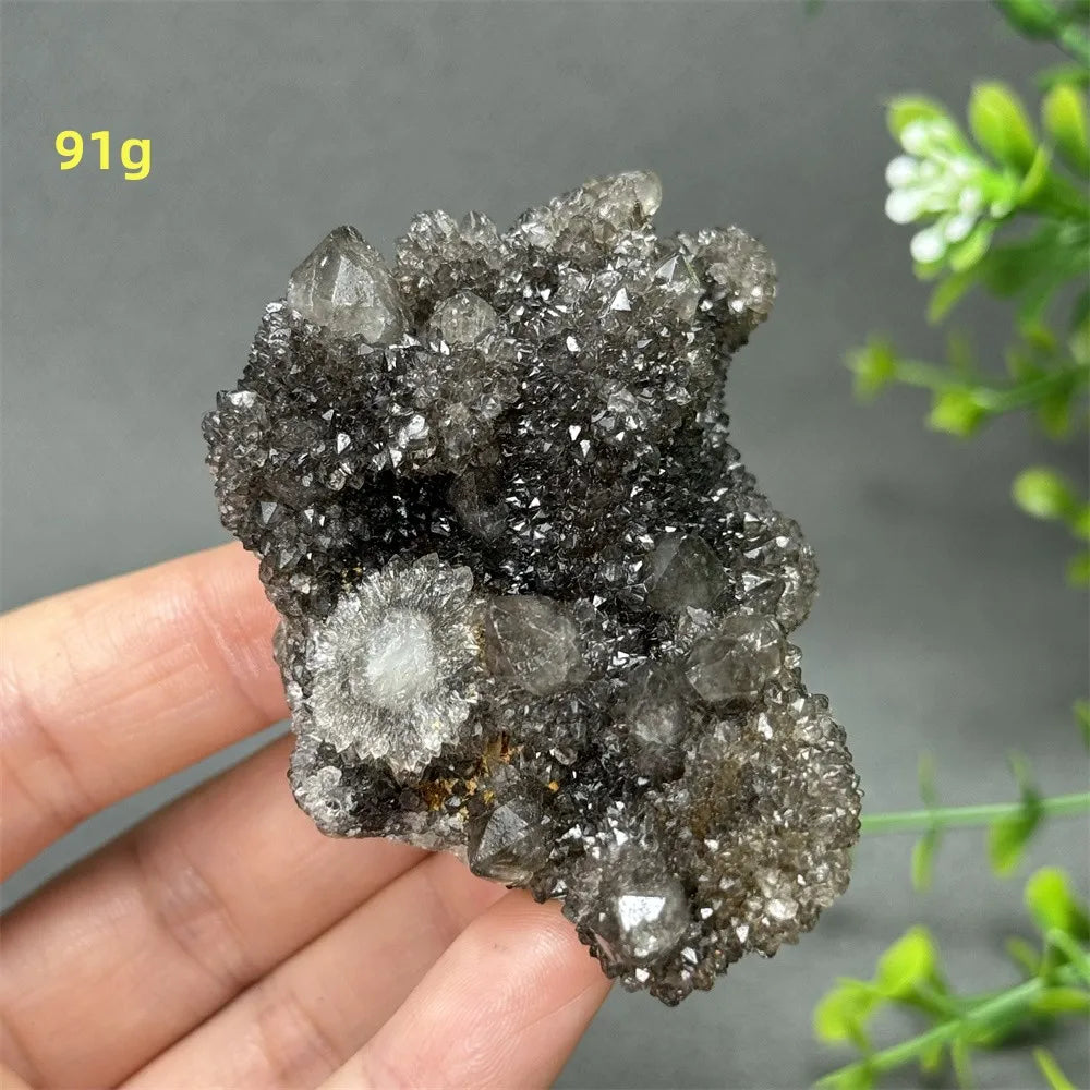 Natural Rare Black Cactus Quartz Cluster