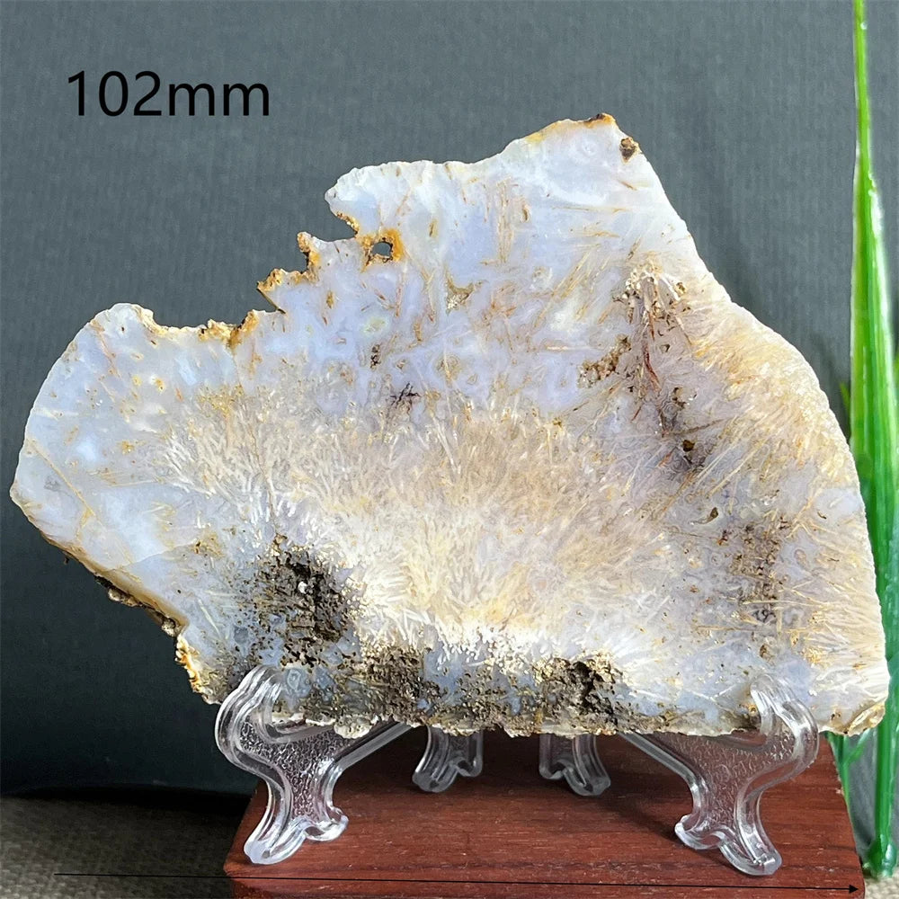 Natural Rutilated Hair Agate Slab (With Stand)