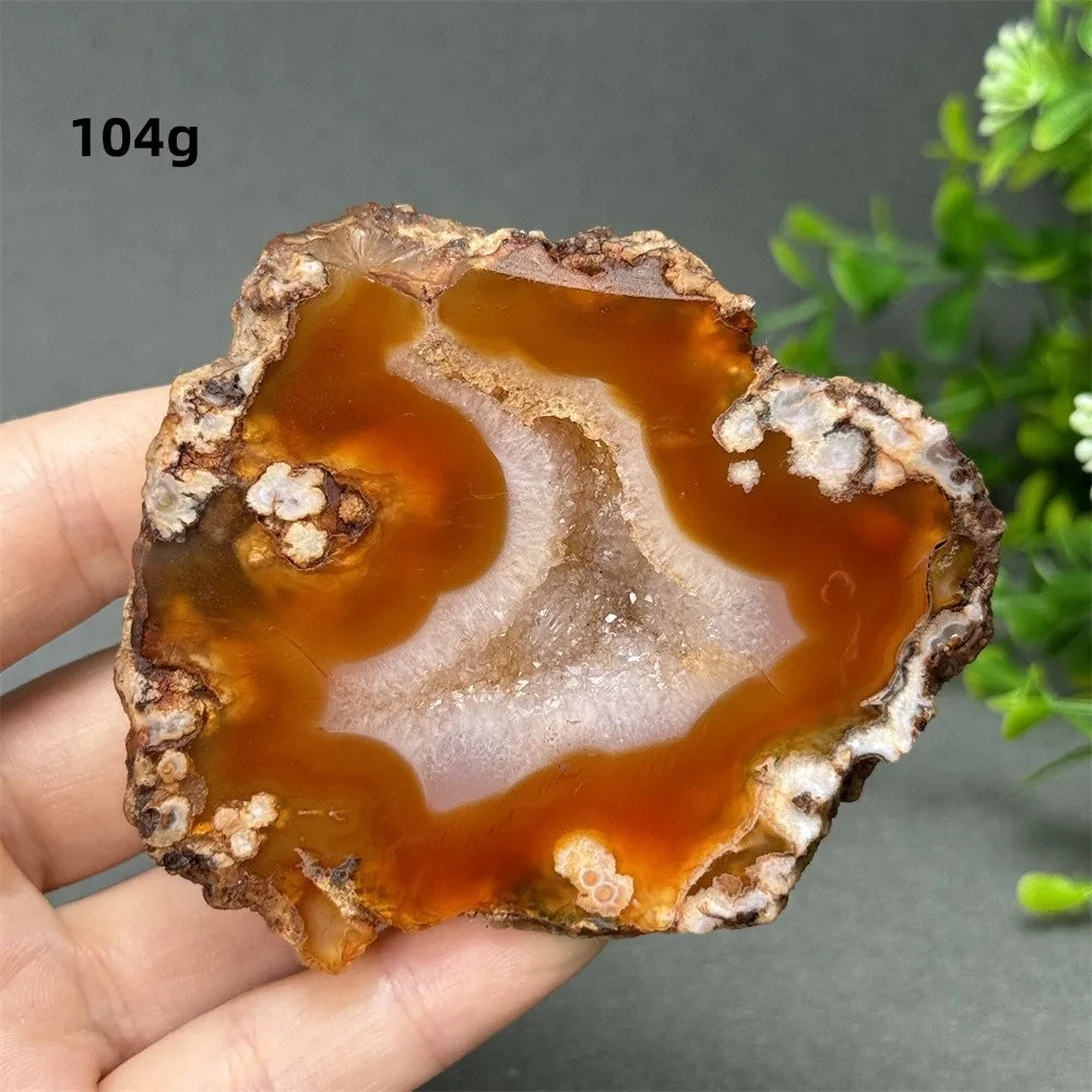 Natural Red Cherry Blossom Agate Geode Slab