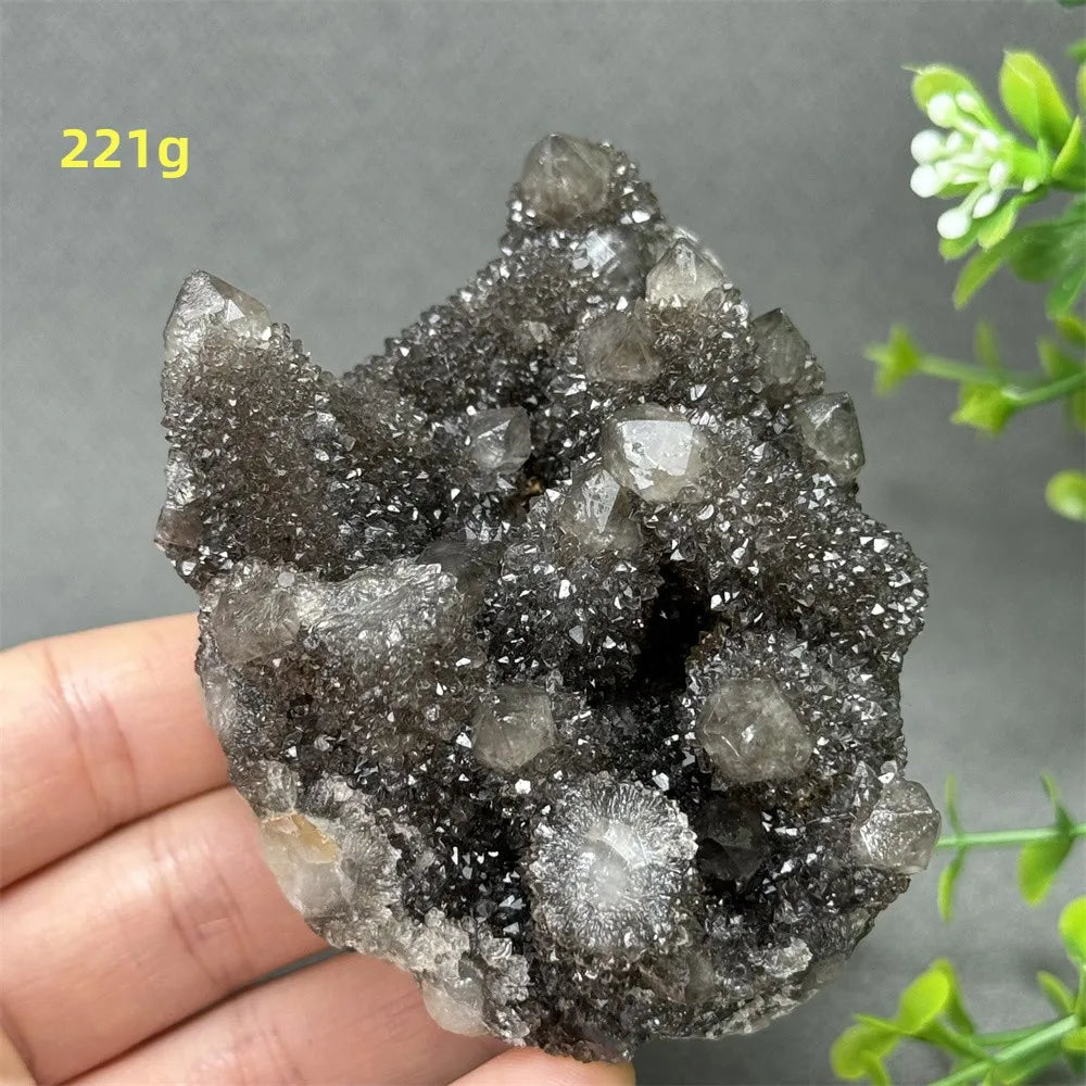 Natural Rare Black Cactus Quartz Cluster