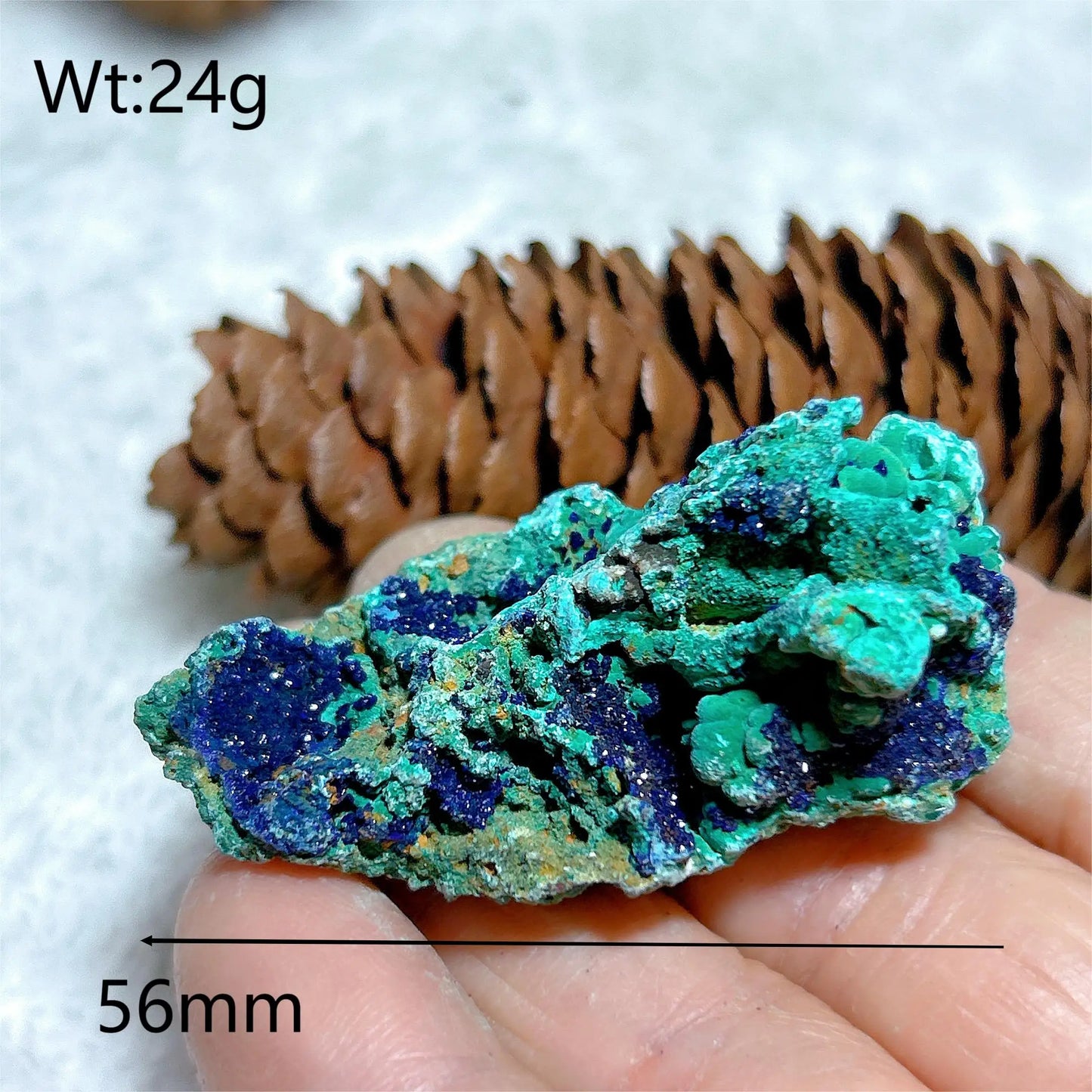 HQ Natural Chrysocolla With Azurite Specimen Medium