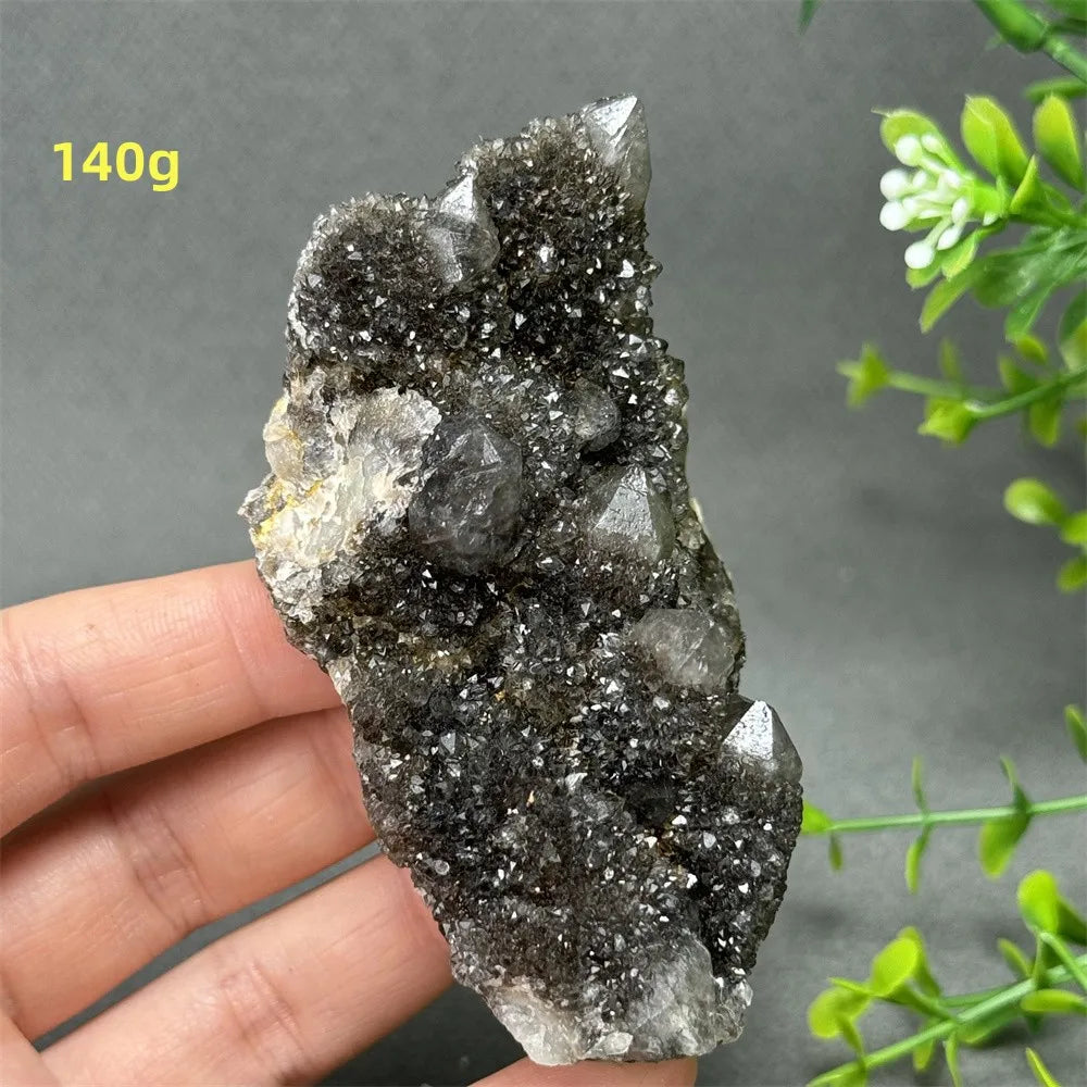 Natural Rare Black Cactus Quartz Cluster
