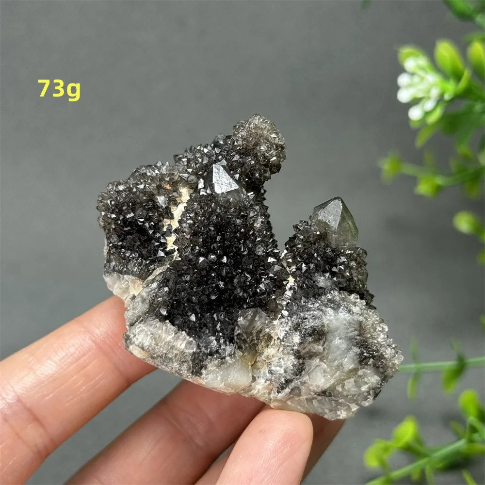 Natural Rare Black Cactus Quartz Cluster