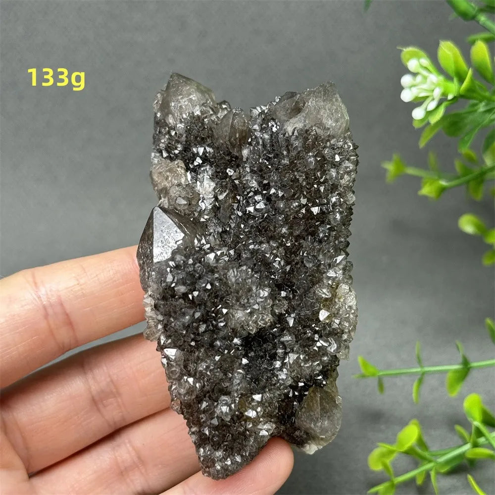 Natural Rare Black Cactus Quartz Cluster
