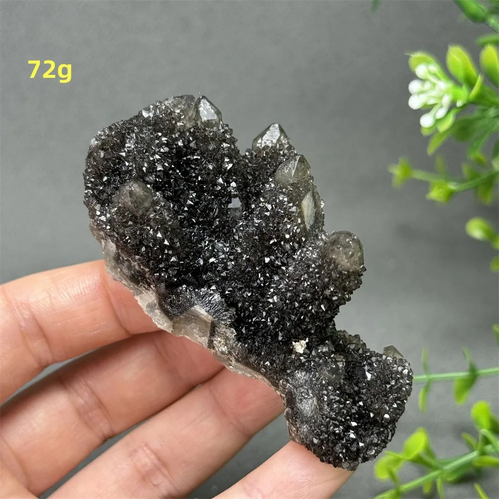 Natural Rare Black Cactus Quartz Cluster