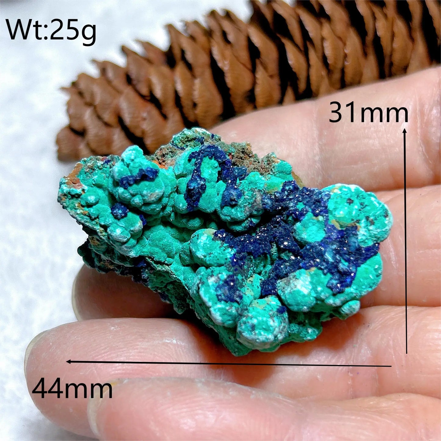 HQ Natural Chrysocolla With Azurite Specimen Medium