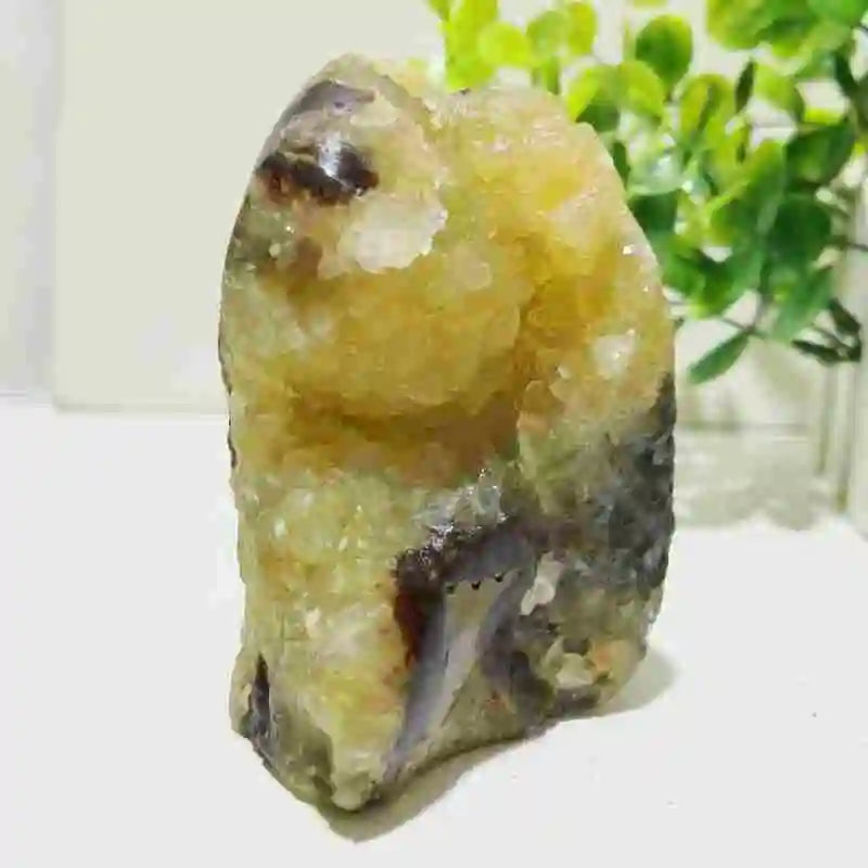 Natural Septarian Geode Freeform Cluster