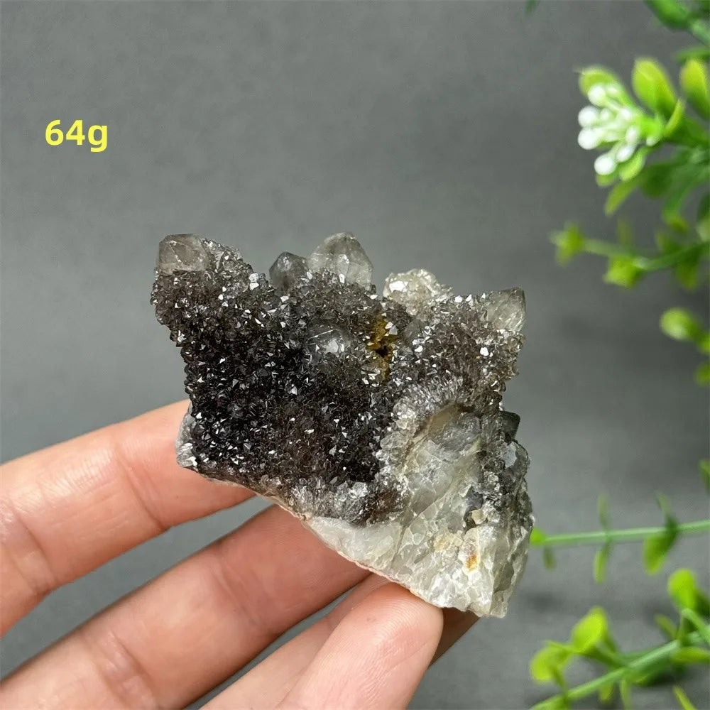 Natural Rare Black Cactus Quartz Cluster