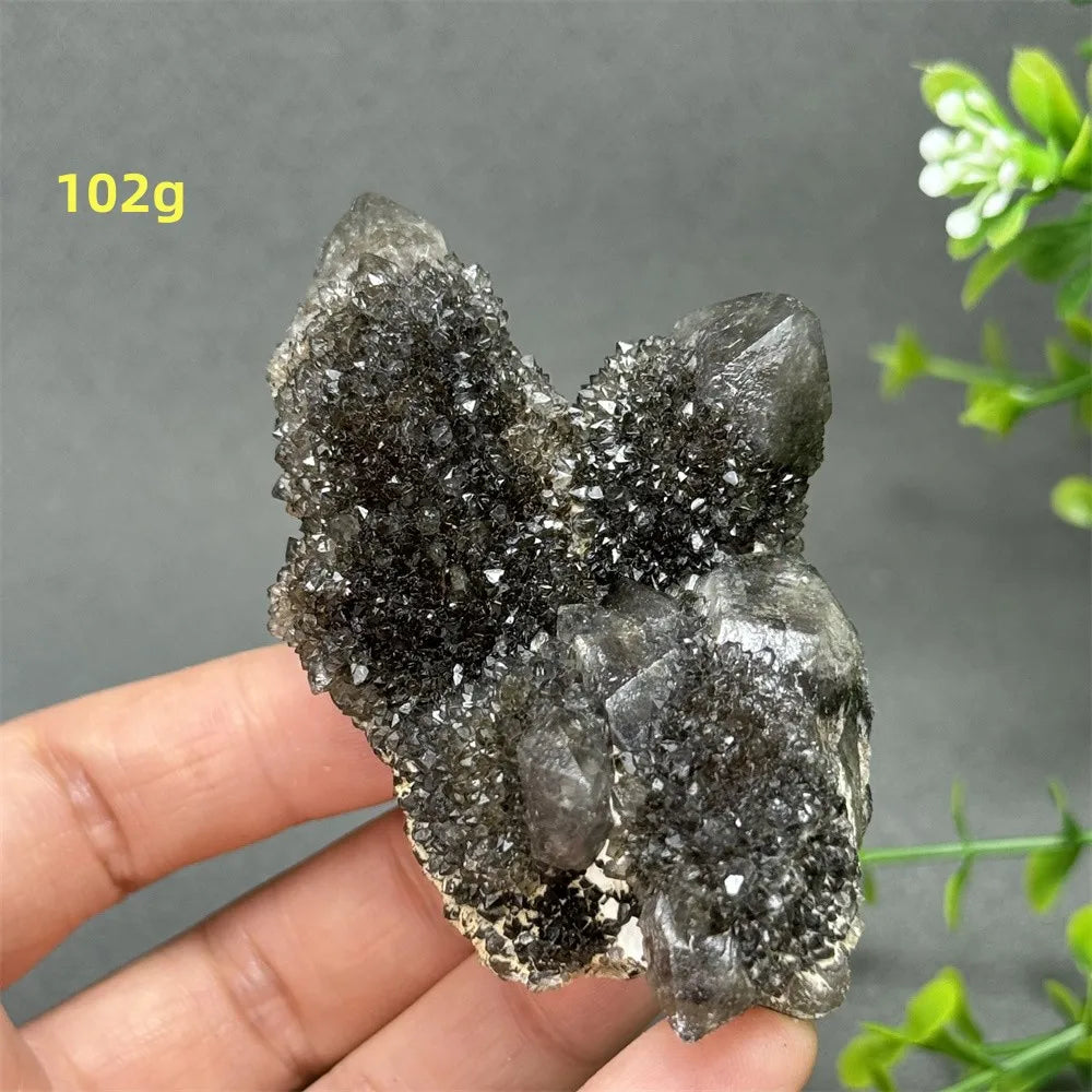 Natural Rare Black Cactus Quartz Cluster
