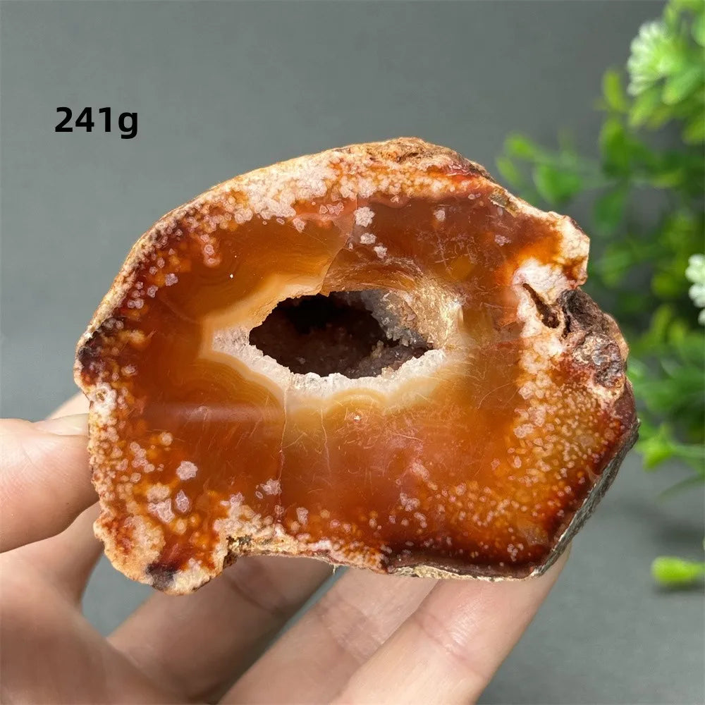 Natural Red Cherry Blossom Agate Geode Slab
