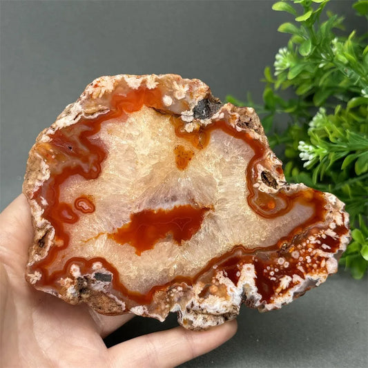 Natural Red Cherry Blossom Agate Geode Slab