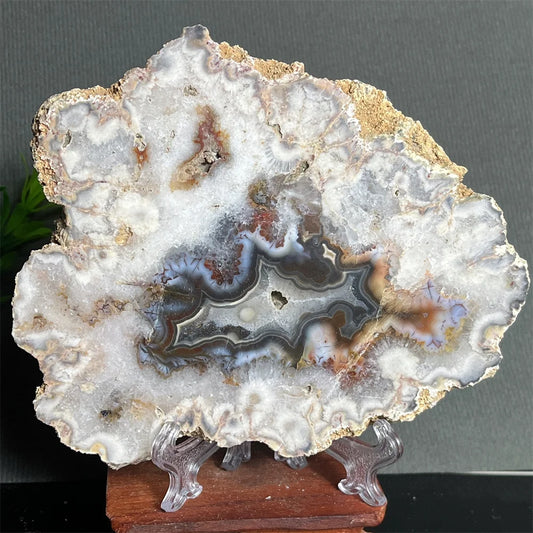 Natural Flower Agate Slab Specimen (With Stand)