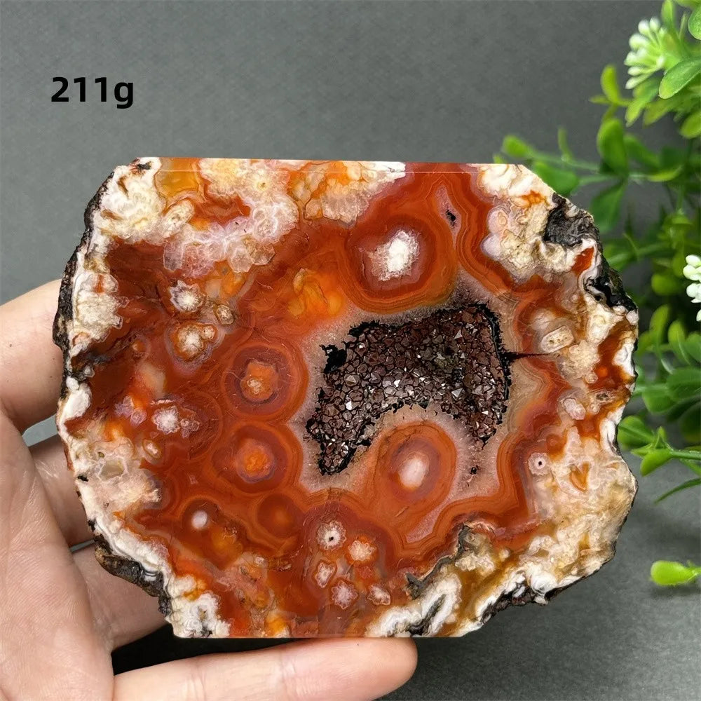 Natural Red Cherry Blossom Agate Geode Slab