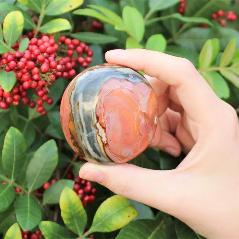 Jaspe polychrome Ocean Palmstone 