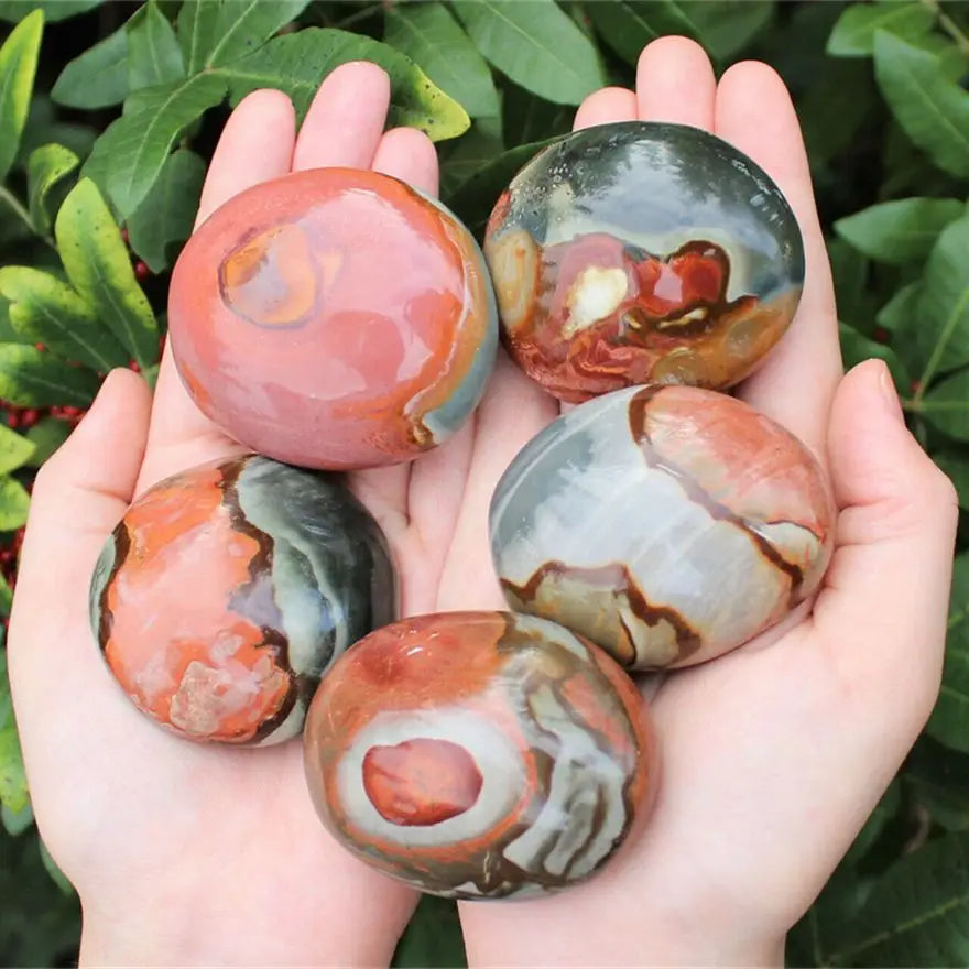 Jaspe polychrome Ocean Palmstone 