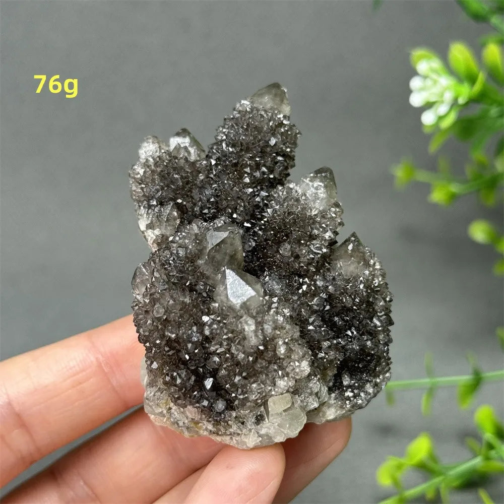 Natural Rare Black Cactus Quartz Cluster