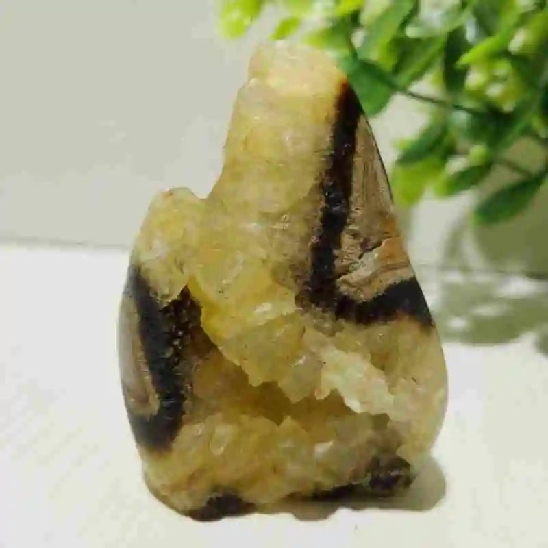 Natural Septarian Geode Freeform Cluster