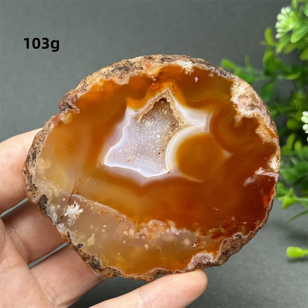 Natural Red Cherry Blossom Agate Geode Slab
