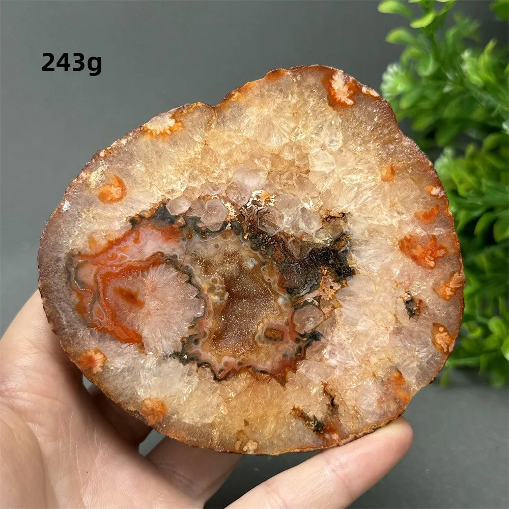 Natural Red Cherry Blossom Agate Geode Slab