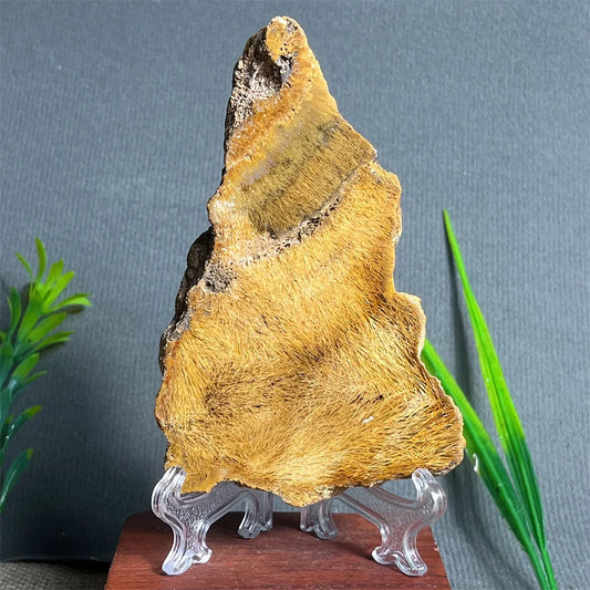 Natural Rutilated Hair Agate Slab (With Stand)